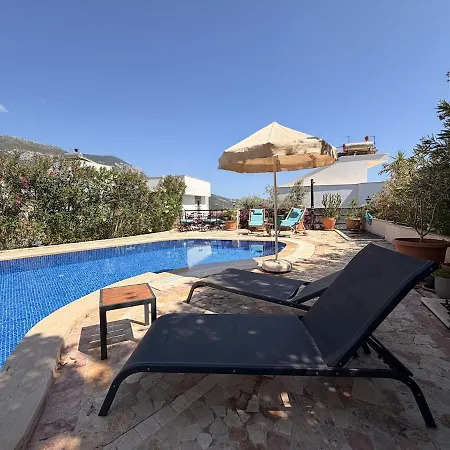 Villa Lycia With Private Pool, Roof Terrace, Bbq Area And Garden