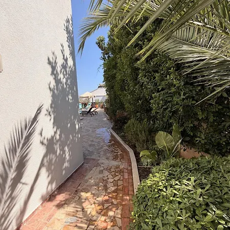 Lycia With Private Pool, Roof Terrace, Bbq Area And Garden