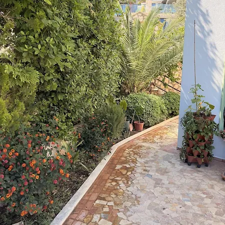 Lycia With Private Pool, Roof Terrace, Bbq Area And Garden *