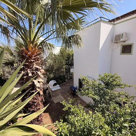 Villa Lycia With Private Pool, Roof Terrace, Bbq Area And Garden