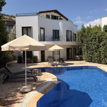 Villa Lycia With Private Pool, Roof Terrace, Bbq Area And Garden